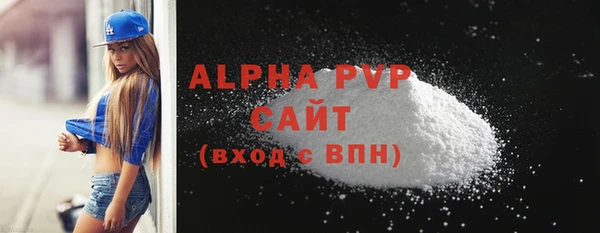 стаф Коряжма