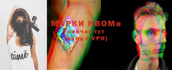 стаф Коряжма