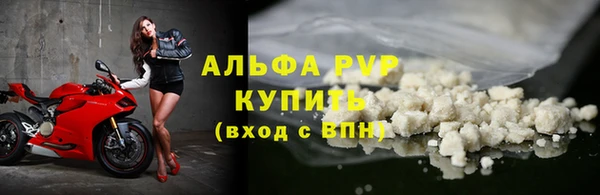 стаф Коряжма