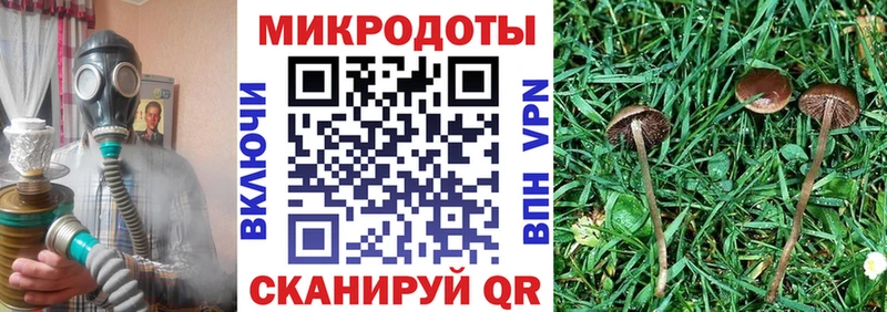 блэк спрут ссылки  Реутов  Галлюциногенные грибы Cubensis 