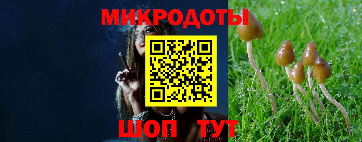 Реутов  Галлюциногенные грибы ЛСД  Вход с VPN 