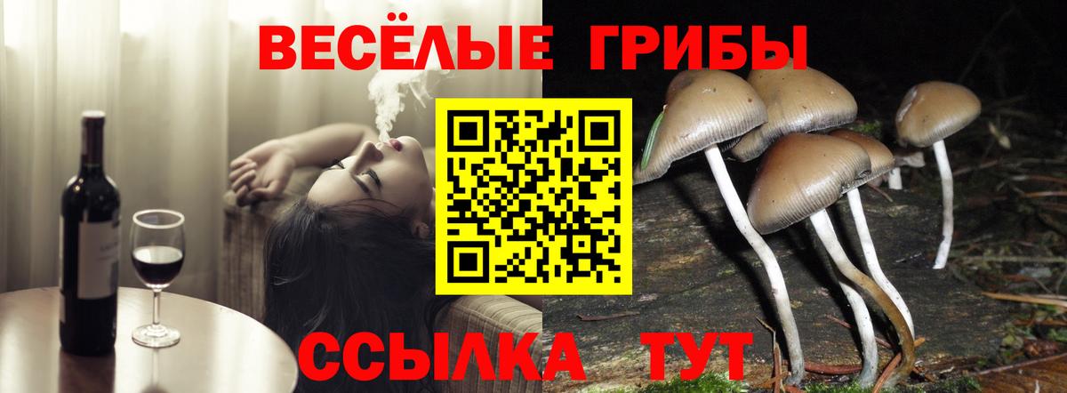 Галлюциногенные грибы Magic Shrooms Реутов